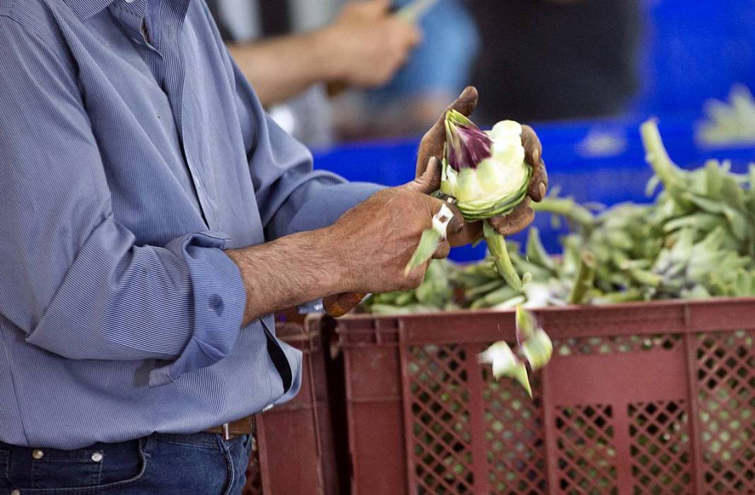 Hızlı soyan 20 erkek topladı: Kişi başı günde 2500 TL kazanıyorlar! 'Çok güçlü bir ekibimiz var, hızlıca soyuyoruz' 12